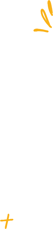 program_g program_g